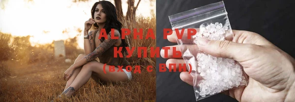 тгк Касимов