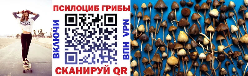 Псилоцибиновые грибы Cubensis  Владимир 