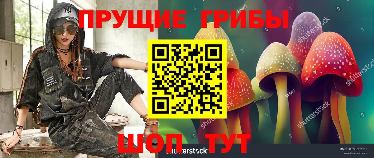 Псилоцибиновые грибы GOLDEN TEACHER  Вход с VPN  Владимир 